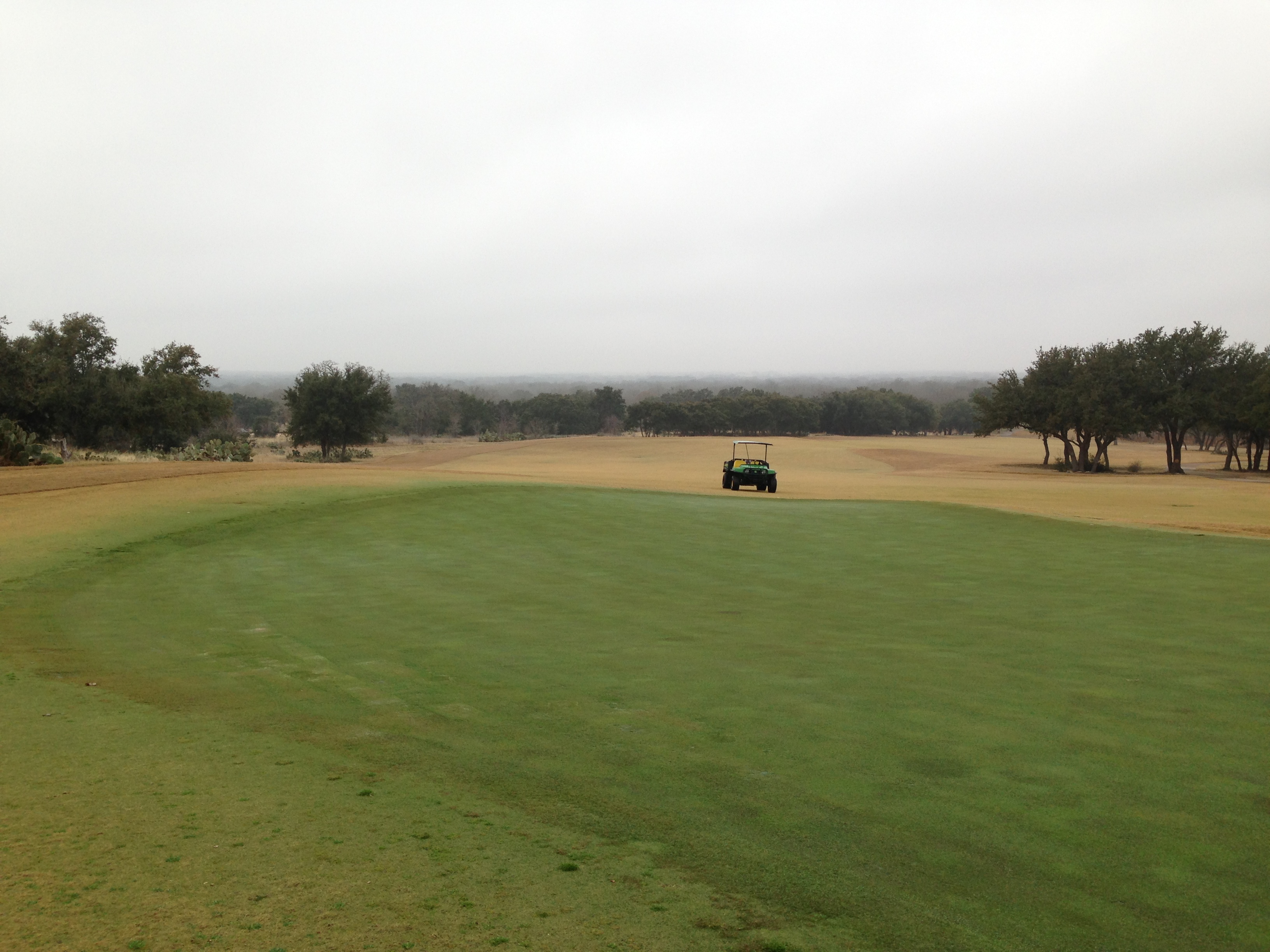 Pristine Turf Transformation